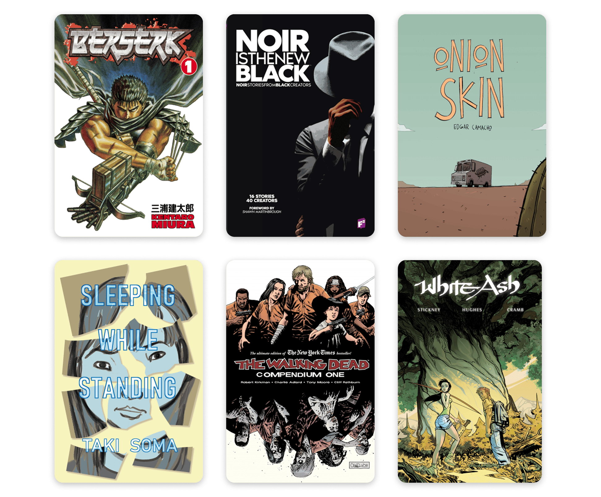 Adult graphic novels collection